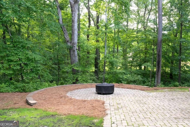 214 Davis Mill Rd, Ball Ground, GA 30107 - view of property's community with a fire pit, a patio area, and a forest view