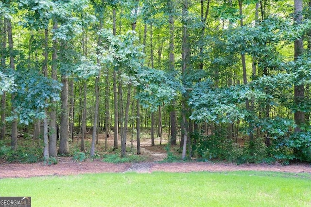 214 Davis Mill Rd, Ball Ground, GA 30107 - view of grassy yard with a view of trees