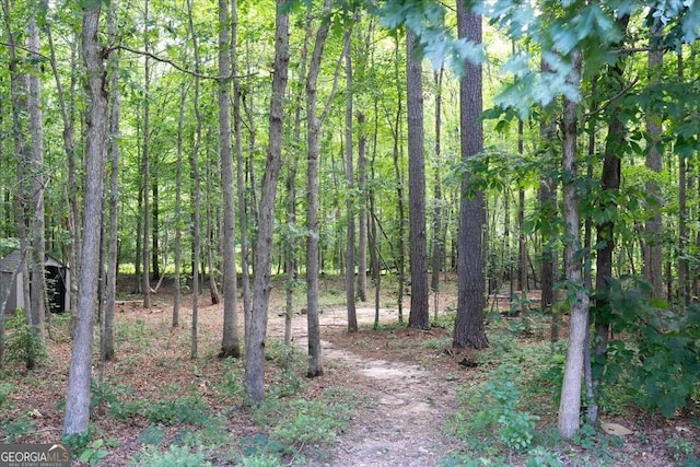 214 Davis Mill Rd, Ball Ground, GA 30107 - view of woods