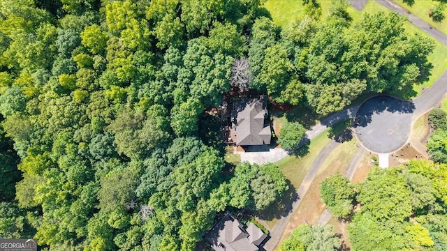 214 Davis Mill Rd, Ball Ground, GA 30107 - view of property location
