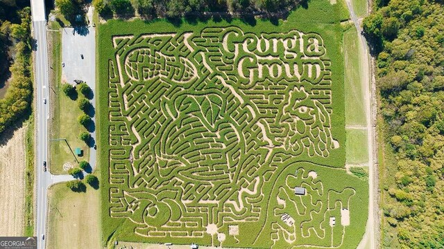 109 Grand Hickory Way, Dawsonville, GA 30534 - drone / aerial view