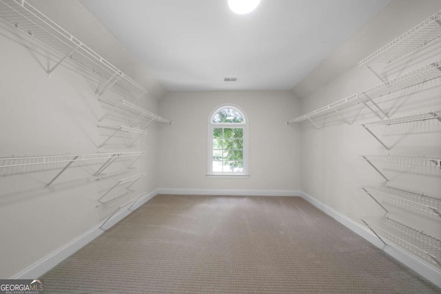 4544 Cavallon Way NW, Acworth, GA 30101 - spacious closet with carpet