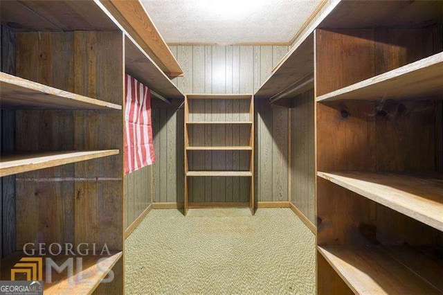 741 Greenhill Dr NE, Conyers, GA 30012 - walk in closet with carpet floors