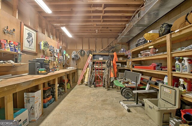 115 Shoal Creek Dr, Sharpsburg, GA 30277 - view of storage room