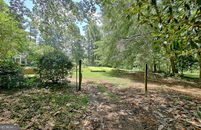 115 Shoal Creek Dr, Sharpsburg, GA 30277 - view of yard