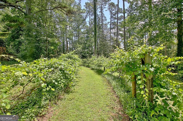 115 Shoal Creek Dr, Sharpsburg, GA 30277