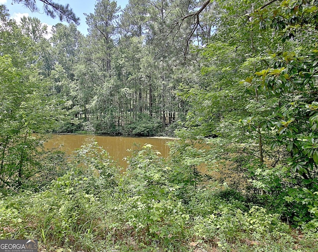115 Shoal Creek Dr, Sharpsburg, GA 30277