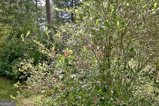 115 Shoal Creek Dr, Sharpsburg, GA 30277
