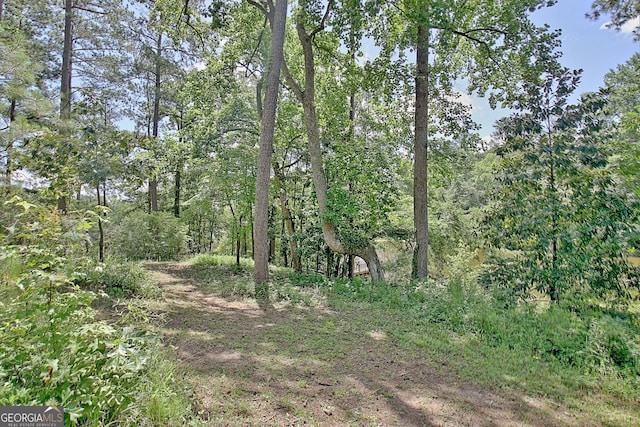 115 Shoal Creek Dr, Sharpsburg, GA 30277