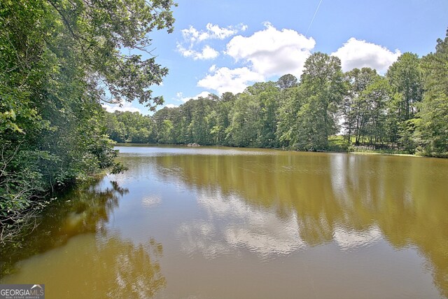 115 Shoal Creek Dr, Sharpsburg, GA 30277