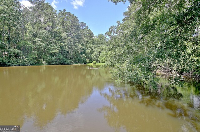 115 Shoal Creek Dr, Sharpsburg, GA 30277