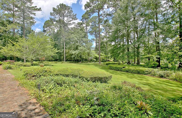 115 Shoal Creek Dr, Sharpsburg, GA 30277 - view of green lawn with view of wooded area
