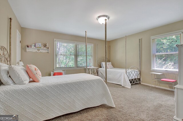 115 Shoal Creek Dr, Sharpsburg, GA 30277 - carpeted bedroom with multiple windows