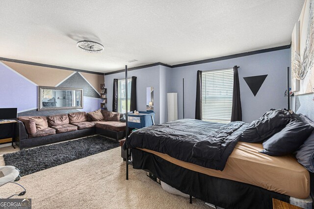 3350 Clawing Hawk Way, Douglasville, GA 30135 - carpeted bedroom with a textured ceiling and ornamental molding
