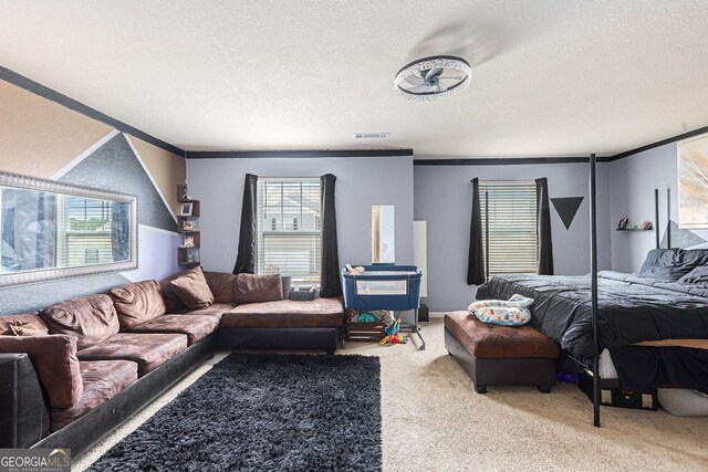 3350 Clawing Hawk Way, Douglasville, GA 30135 - carpeted living room with a textured ceiling