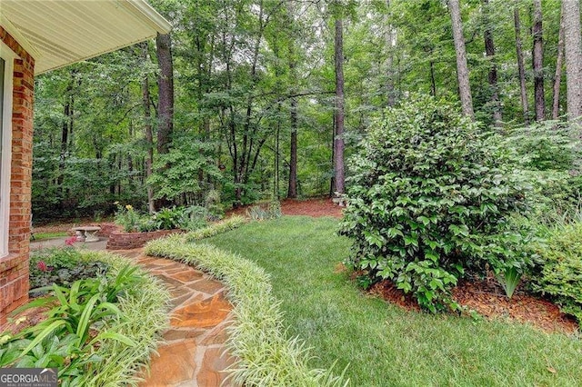 17 Shotgun Rd NW, Cartersville, GA 30121 - view of yard