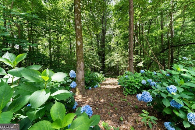 17 Shotgun Rd NW, Cartersville, GA 30121 - view of undeveloped land