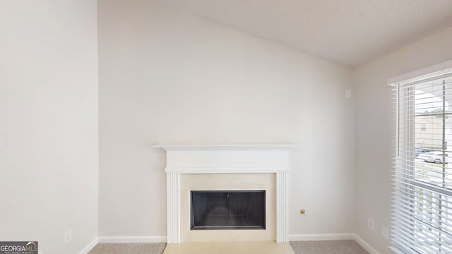 3157 Peartree Dr NW, Acworth, GA 30101 - detailed view of carpet and a fireplace with flush hearth