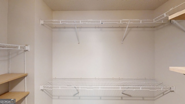 3157 Peartree Dr NW, Acworth, GA 30101 - view of walk in closet