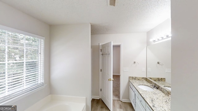 3157 Peartree Dr NW, Acworth, GA 30101 - bathroom featuring vanity, wood finished floors, a textured ceiling, and a bathtub