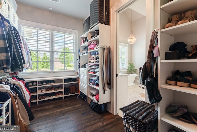 2816 Oconee Springs Dr, Statham, GA 30666 - spacious closet featuring dark wood finished floors