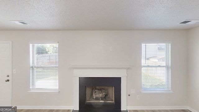 1001 Balsam Wood Trl, Villa Rica, GA 30180 - detailed view of a textured ceiling, a fireplace with flush hearth, and wood finished floors