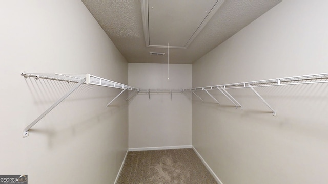 1001 Balsam Wood Trl, Villa Rica, GA 30180 - walk in closet with attic access and carpet floors