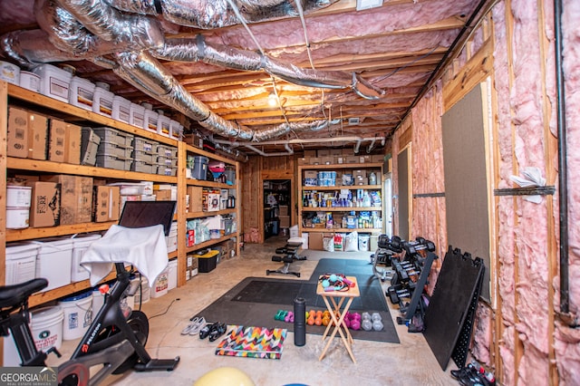 713 Birkdale Blvd, Carrollton, GA 30116 - view of unfinished below grade area