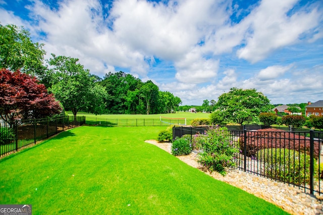713 Birkdale Blvd, Carrollton, GA 30116 - view of yard