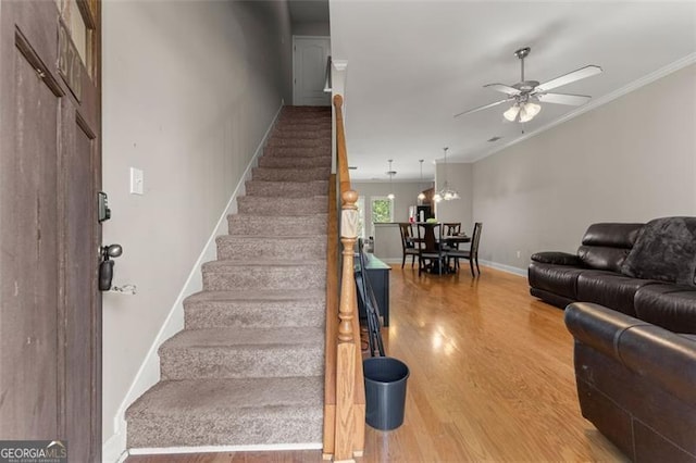 373 Whitehall, Athens, GA 30605 - stairway with wood finished floors, a ceiling fan, and ornamental molding