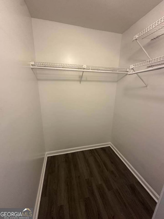 160 Lake Wellington Dr, Kingsland, GA 31548 - spacious closet with dark wood-style floors