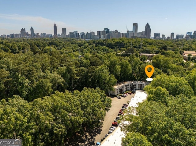 1445 Monroe Dr Unit 14B, Atlanta, GA 30324 - aerial view of skyline