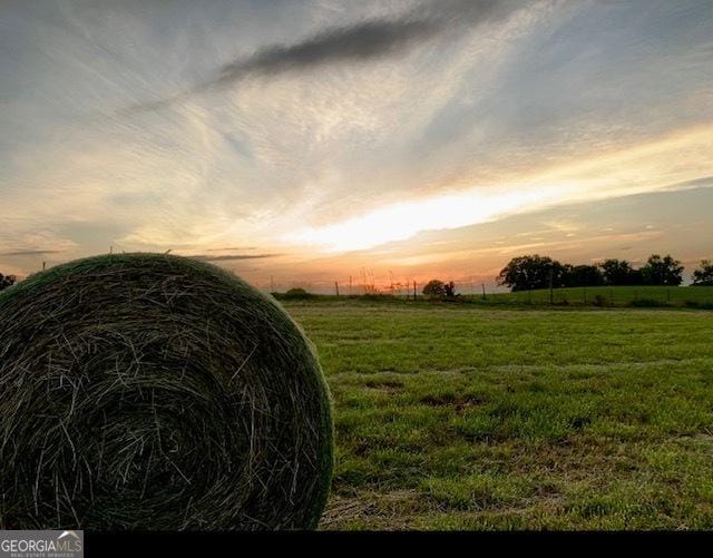 360 Morgan Mill Rd, Brooks, GA 30205 - view of grassy yard featuring a view of countryside