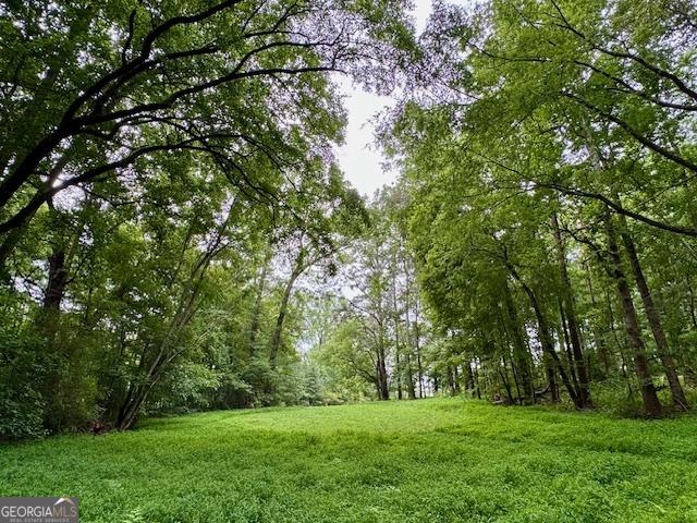 360 Morgan Mill Rd, Brooks, GA 30205 - view of grassy yard featuring a view of trees