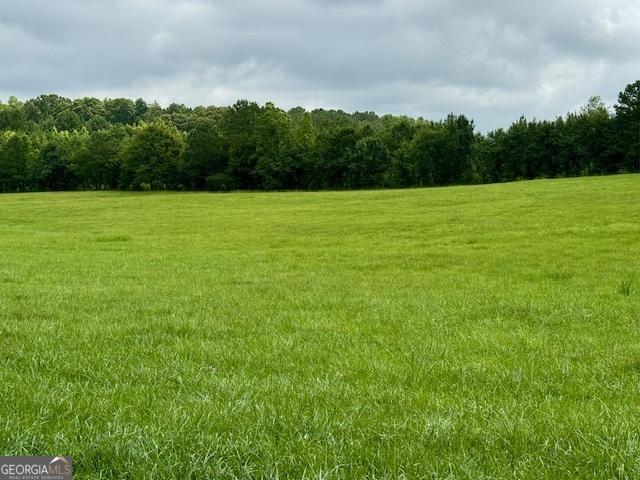 360 Morgan Mill Rd, Brooks, GA 30205 - view of green lawn featuring a view of rural / pastoral area and a forest view