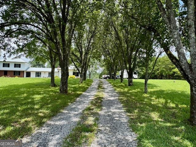 360 Morgan Mill Rd, Brooks, GA 30205 - view of dirt / gravel driveway