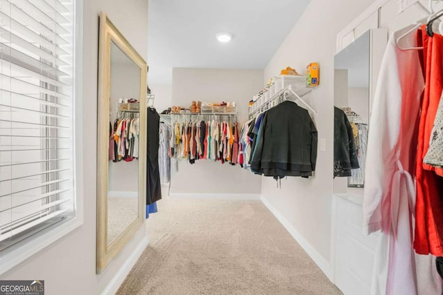 2326 Britt St, Grayson, GA 30017 - walk in closet featuring carpet floors