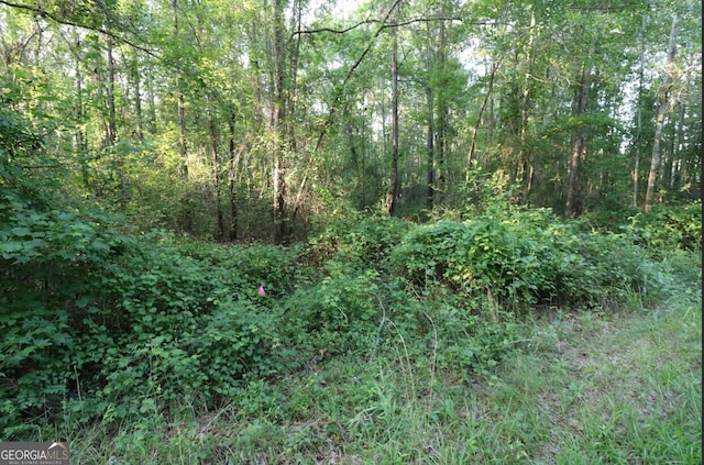 0 Kings Mill Rd Unit 3, Wrens, GA 30833