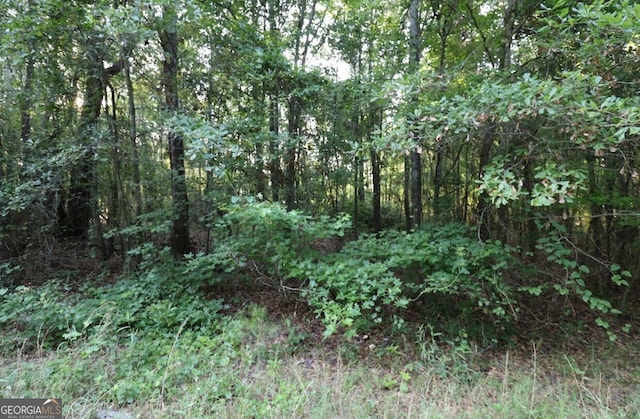 0 Kings Mill Rd Unit 3, Wrens, GA 30833