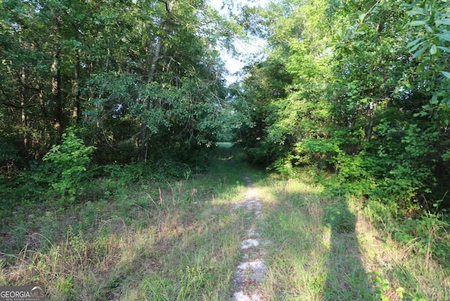 0 Kings Mill Rd Unit 3, Wrens, GA 30833