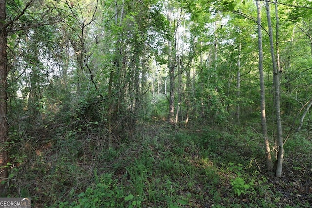 0 Kings Mill Rd Unit 3, Wrens, GA 30833