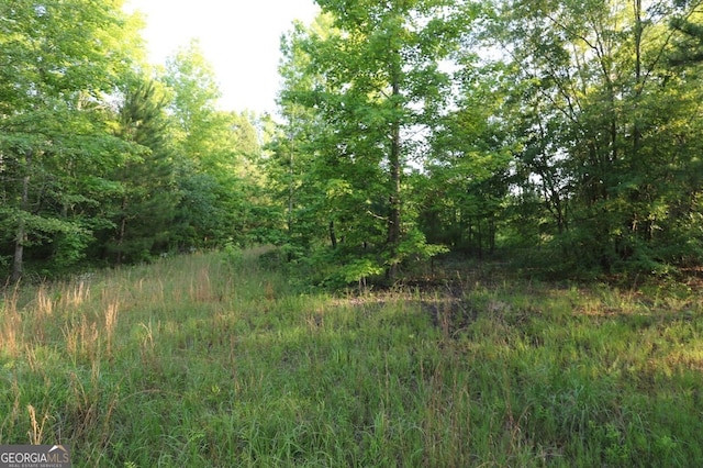 0 Kings Mill Rd Unit 3, Wrens, GA 30833