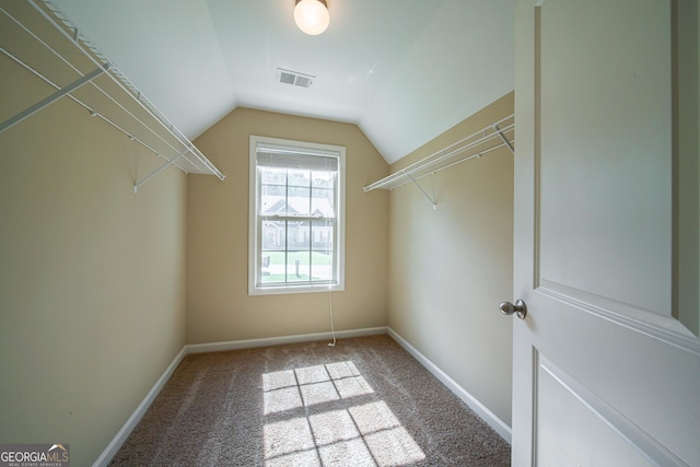38 Pin Oak Way, Hamilton, GA 31811 - walk in closet with carpet floors and vaulted ceiling