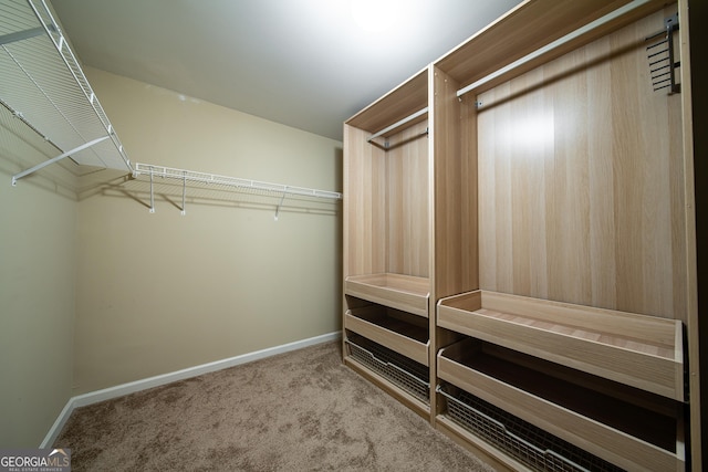 38 Pin Oak Way, Hamilton, GA 31811 - walk in closet with carpet flooring