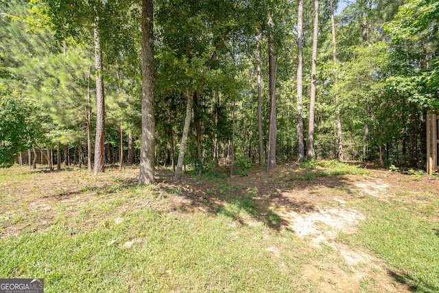 38 Pin Oak Way, Hamilton, GA 31811 - view of tree filled area