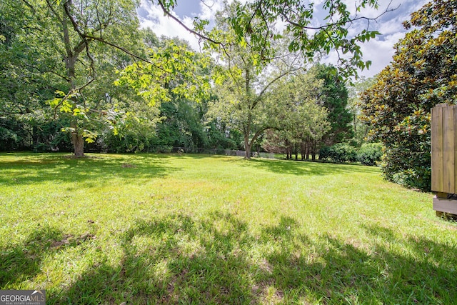 124 Old Salem Trl, Pine Mountain, GA 31822 - view of yard