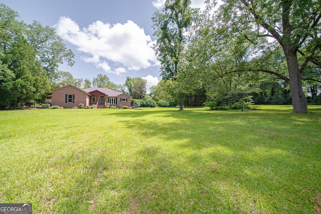 124 Old Salem Trl, Pine Mountain, GA 31822 - view of grassy yard