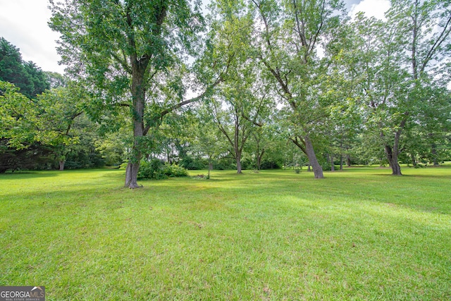 124 Old Salem Trl, Pine Mountain, GA 31822 - view of green lawn