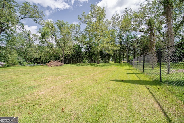 124 Old Salem Trl, Pine Mountain, GA 31822 - view of yard