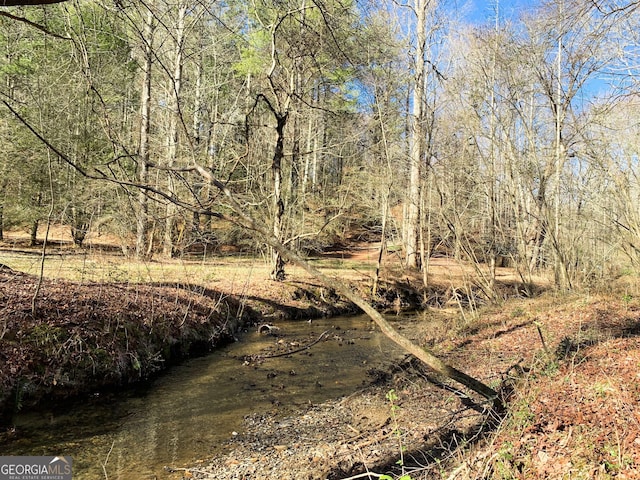 3177 Rodgers Creek Rd Unit 169, Ellijay, GA 30540 - view of nature